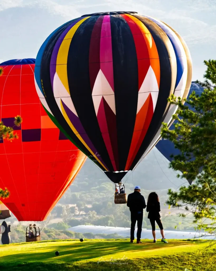 público asistente al festival del globo león observa el despegue de los globos aerostáticos.
