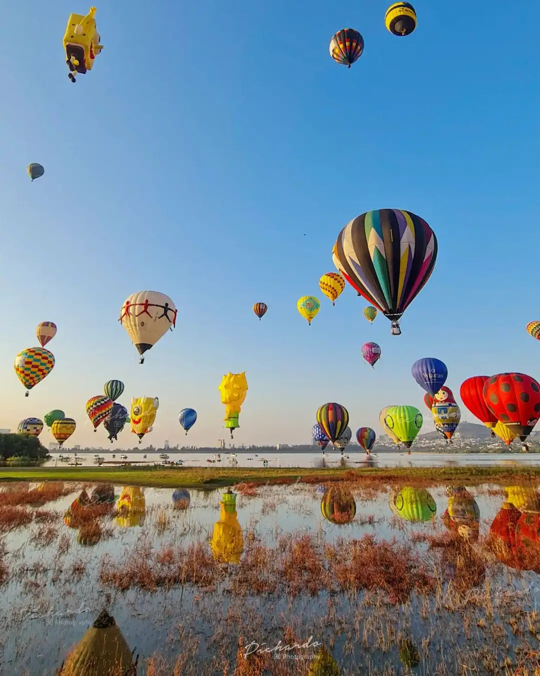 Festival del Globo León 2025