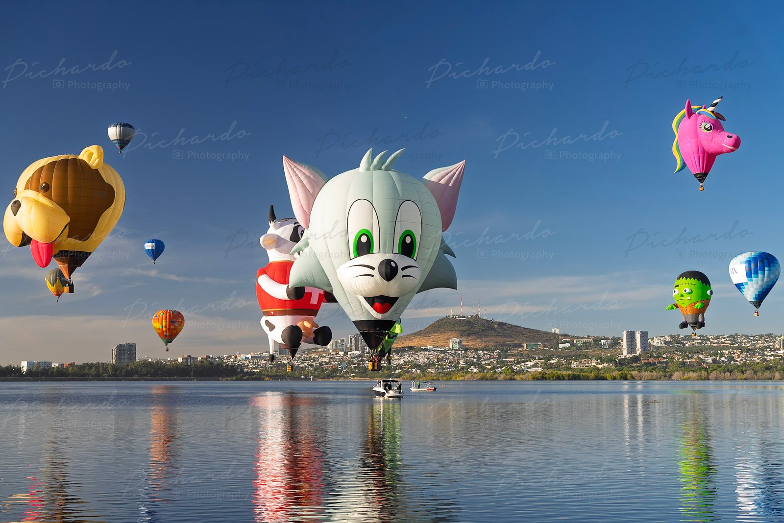 Los globos de figuras de gato, vaca y unicornio en el cielo del Festival del Globo León 2025, en el Parque Metropolitano. Fotografía por PichardoMX.