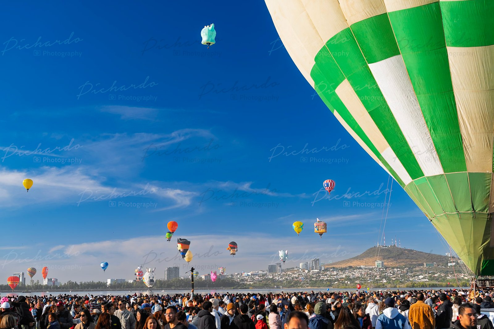 Multitud de espectadores viendo el despegue del Festival del Globo León 2025 en el Parque Metropolitano. Fotografía por PichardoMX.