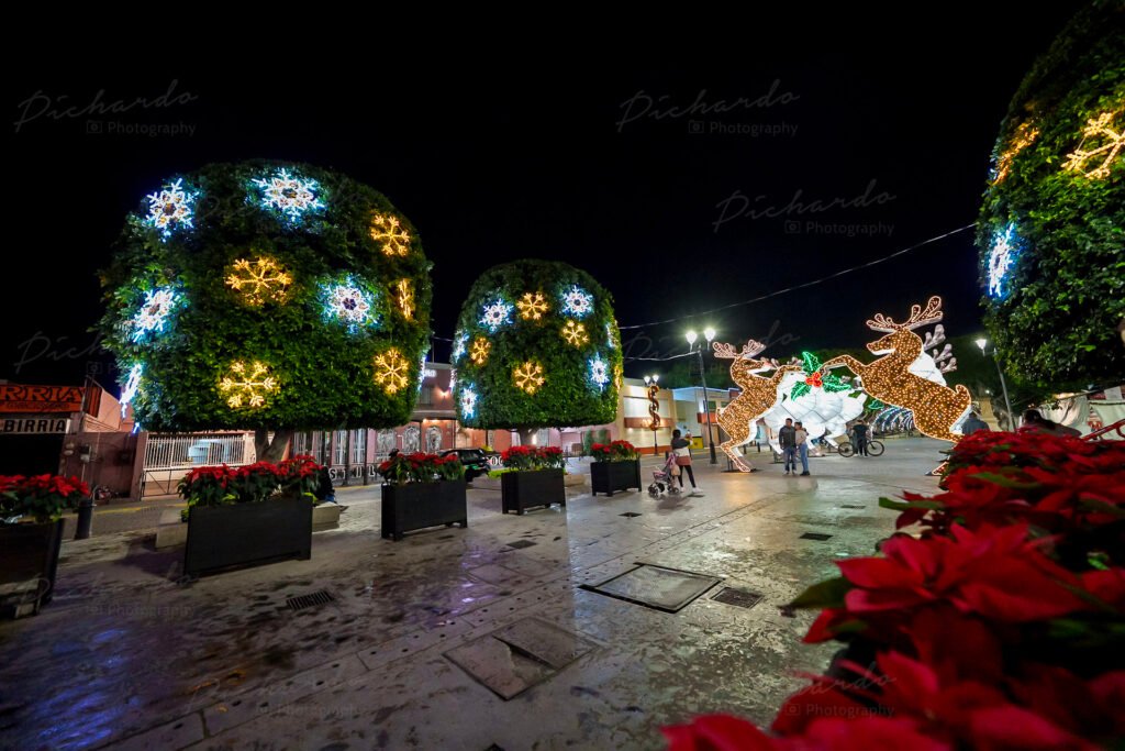 Árboles decorados con luces y copos de nieve gigantes en el corredor turístico de León Guanajuato.